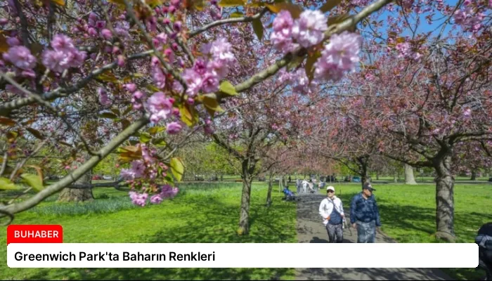Greenwich Park’ta Baharın Renkleri