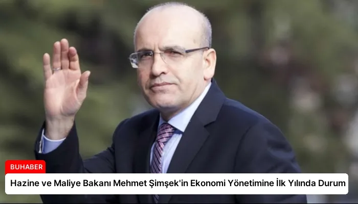 Hazine ve Maliye Bakanı Mehmet Şimşek’in Ekonomi Yönetimine İlk Yılında Durum