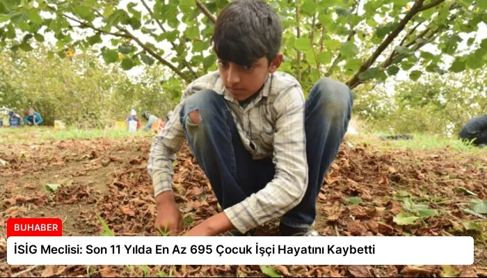 İSİG Meclisi: Son 11 Yılda En Az 695 Çocuk İşçi Hayatını Kaybetti