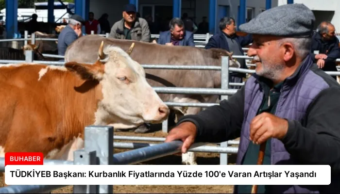 TÜDKİYEB Başkanı: Kurbanlık Fiyatlarında Yüzde 100’e Varan Artışlar Yaşandı