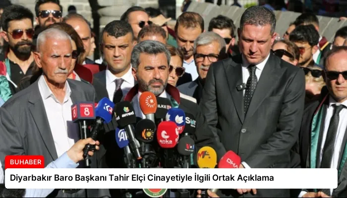 Diyarbakır Baro Başkanı Tahir Elçi Cinayetiyle İlgili Ortak Açıklama