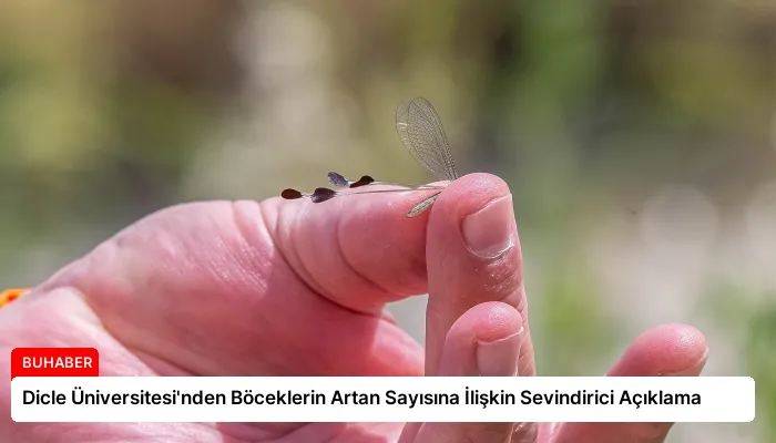 Dicle Üniversitesi’nden Böceklerin Artan Sayısına İlişkin Sevindirici Açıklama