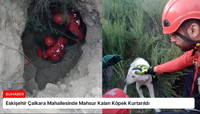 Eskişehir Çalkara Mahallesinde Mahsur Kalan Köpek Kurtarıldı