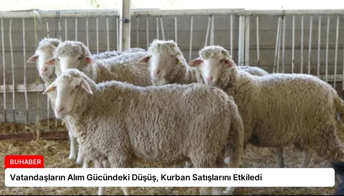 Vatandaşların Alım Gücündeki Düşüş, Kurban Satışlarını Etkiledi