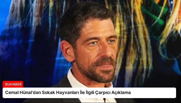 Cemal Hünal’dan Sokak Hayvanları İle İlgili Çarpıcı Açıklama