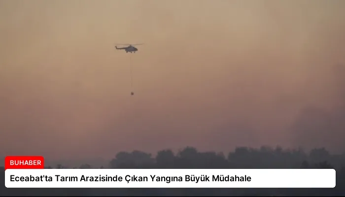 Eceabat’ta Tarım Arazisinde Çıkan Yangına Büyük Müdahale
