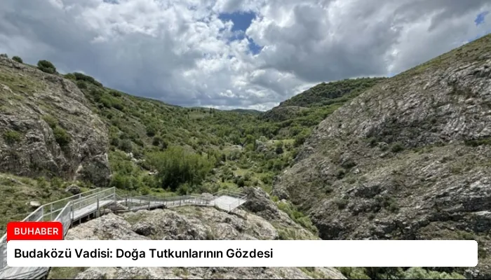 Budaközü Vadisi: Doğa Tutkunlarının Gözdesi