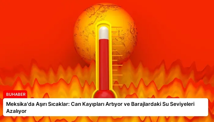 Meksika’da Aşırı Sıcaklar: Can Kayıpları Artıyor ve Barajlardaki Su Seviyeleri Azalıyor