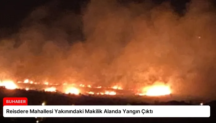 Reisdere Mahallesi Yakınındaki Makilik Alanda Yangın Çıktı