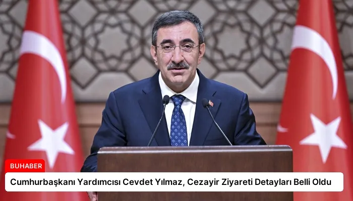 Cumhurbaşkanı Yardımcısı Cevdet Yılmaz, Cezayir Ziyareti Detayları Belli Oldu