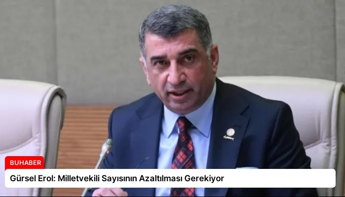 Gürsel Erol: Milletvekili Sayısının Azaltılması Gerekiyor