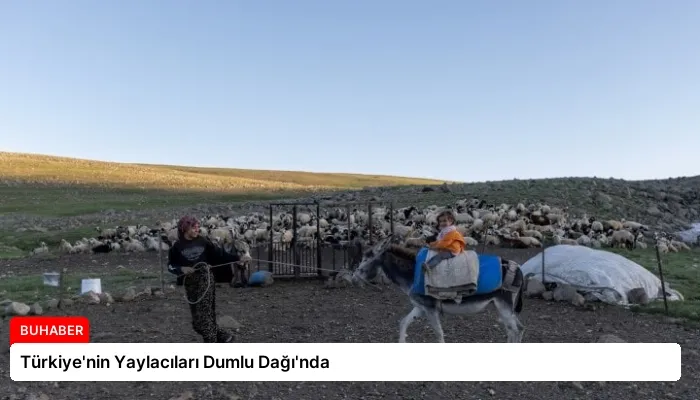 Türkiye’nin Yaylacıları Dumlu Dağı’nda
