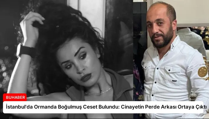 İstanbul’da Ormanda Boğulmuş Ceset Bulundu: Cinayetin Perde Arkası Ortaya Çıktı