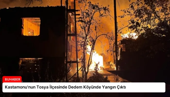 Kastamonu’nun Tosya İlçesinde Dedem Köyünde Yangın Çıktı