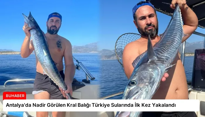 Antalya’da Nadir Görülen Kral Balığı Türkiye Sularında İlk Kez Yakalandı