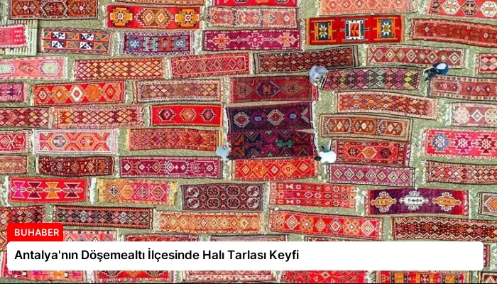 Antalya’nın Döşemealtı İlçesinde Halı Tarlası Keyfi