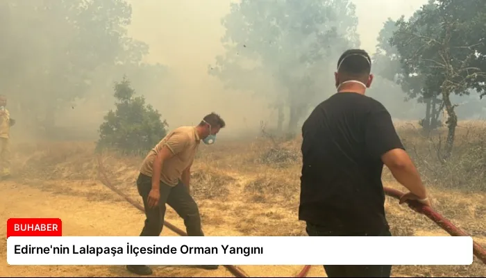 Edirne’nin Lalapaşa İlçesinde Orman Yangını