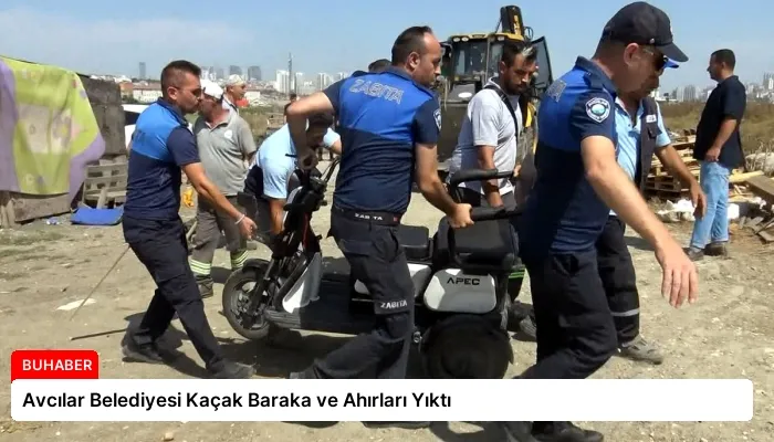 Avcılar Belediyesi Kaçak Baraka ve Ahırları Yıktı
