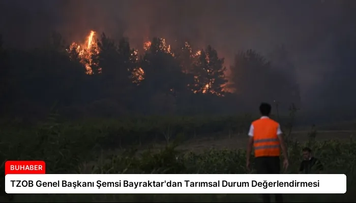 TZOB Genel Başkanı Şemsi Bayraktar’dan Tarımsal Durum Değerlendirmesi