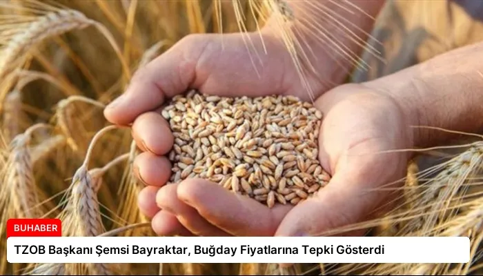 TZOB Başkanı Şemsi Bayraktar, Buğday Fiyatlarına Tepki Gösterdi