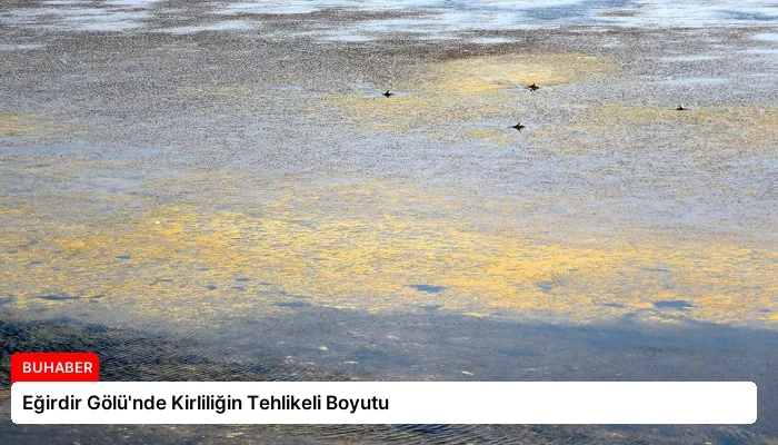 Eğirdir Gölü’nde Kirliliğin Tehlikeli Boyutu