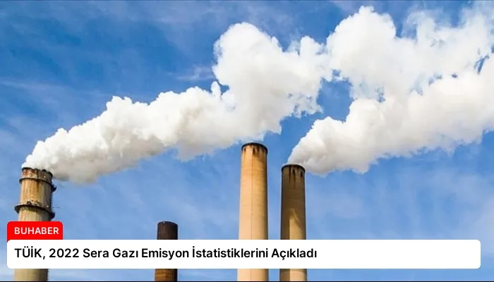 TÜİK, 2022 Sera Gazı Emisyon İstatistiklerini Açıkladı