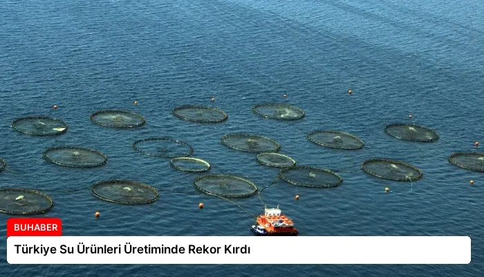 Türkiye Su Ürünleri Üretiminde Rekor Kırdı