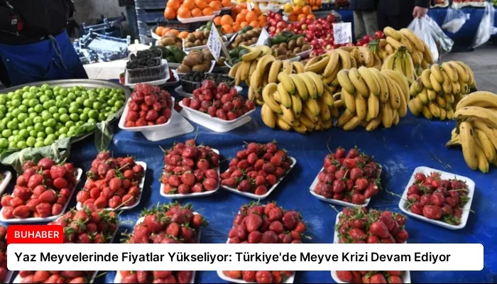 Yaz Meyvelerinde Fiyatlar Yükseliyor: Türkiye’de Meyve Krizi Devam Ediyor