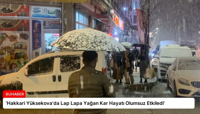 ‘Hakkari Yüksekova’da Lap Lapa Yağan Kar Hayatı Olumsuz Etkiledi’