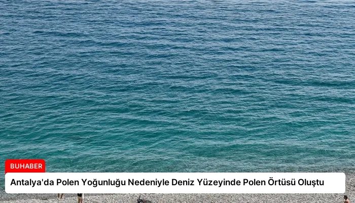 Antalya’da Polen Yoğunluğu Nedeniyle Deniz Yüzeyinde Polen Örtüsü Oluştu