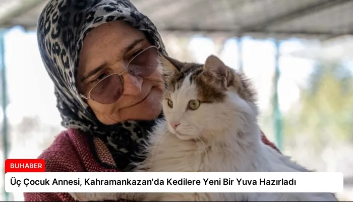 Üç Çocuk Annesi, Kahramankazan’da Kedilere Yeni Bir Yuva Hazırladı
