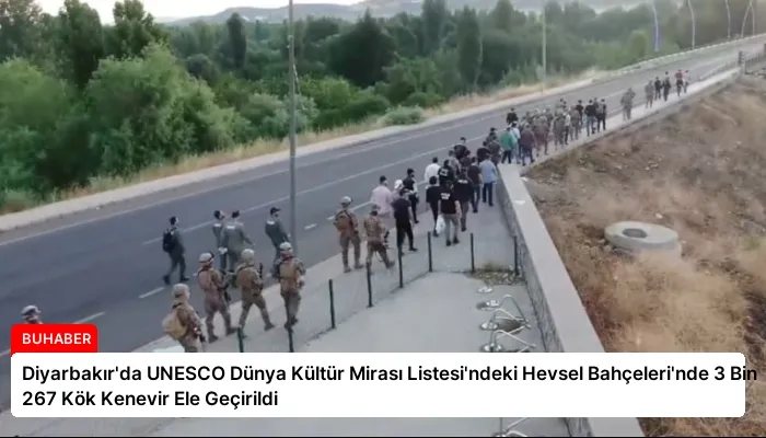 Diyarbakır’da UNESCO Dünya Kültür Mirası Listesi’ndeki Hevsel Bahçeleri’nde 3 Bin 267 Kök Kenevir Ele Geçirildi