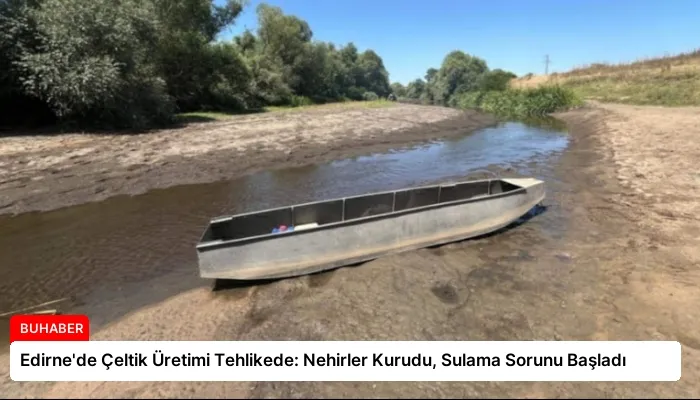 Edirne’de Çeltik Üretimi Tehlikede: Nehirler Kurudu, Sulama Sorunu Başladı