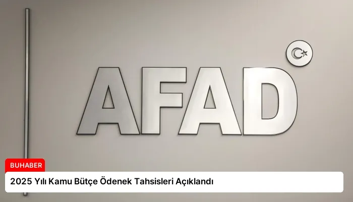 2025 Yılı Kamu Bütçe Ödenek Tahsisleri Açıklandı
