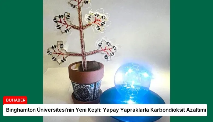 Binghamton Üniversitesi’nin Yeni Keşfi: Yapay Yapraklarla Karbondioksit Azaltımı