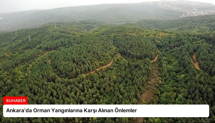 Ankara’da Orman Yangınlarına Karşı Alınan Önlemler