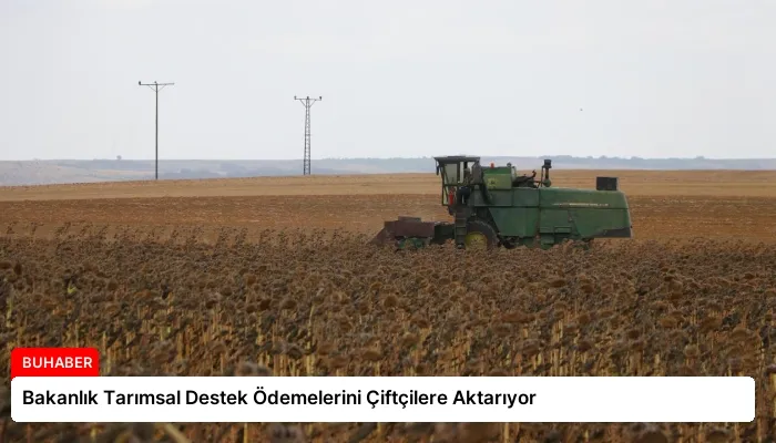 Bakanlık Tarımsal Destek Ödemelerini Çiftçilere Aktarıyor