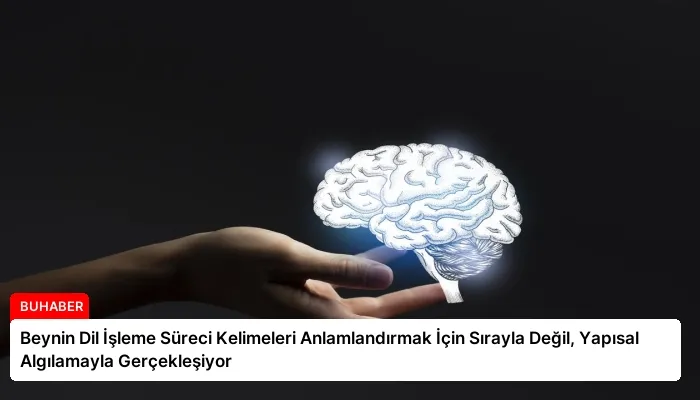 Beynin Dil İşleme Süreci Kelimeleri Anlamlandırmak İçin Sırayla Değil, Yapısal Algılamayla Gerçekleşiyor