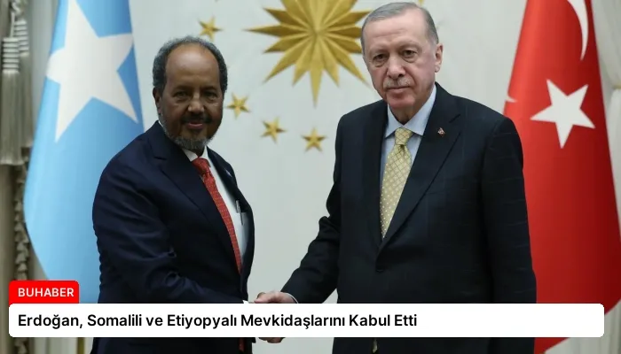 Erdoğan, Somalili ve Etiyopyalı Mevkidaşlarını Kabul Etti