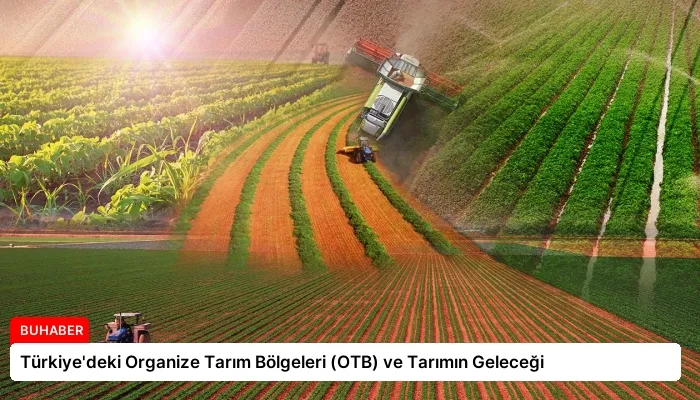 Türkiye’deki Organize Tarım Bölgeleri (OTB) ve Tarımın Geleceği