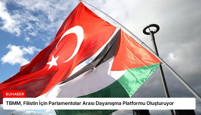 TBMM, Filistin İçin Parlamentolar Arası Dayanışma Platformu Oluşturuyor