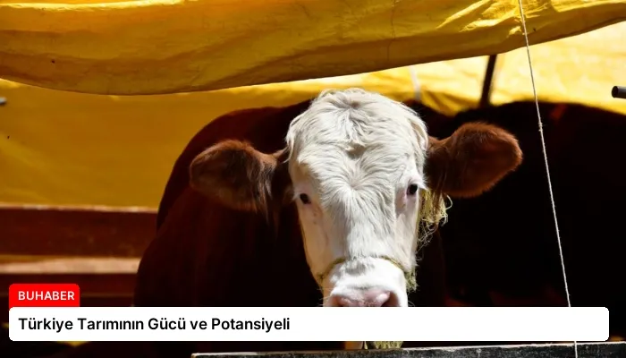 Türkiye Tarımının Gücü ve Potansiyeli