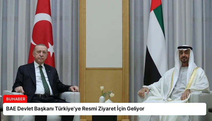 BAE Devlet Başkanı Türkiye’ye Resmi Ziyaret İçin Geliyor