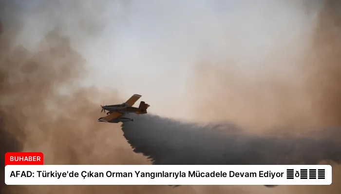 AFAD: Türkiye’de Çıkan Orman Yangınlarıyla Mücadele Devam Ediyor ⏬👇