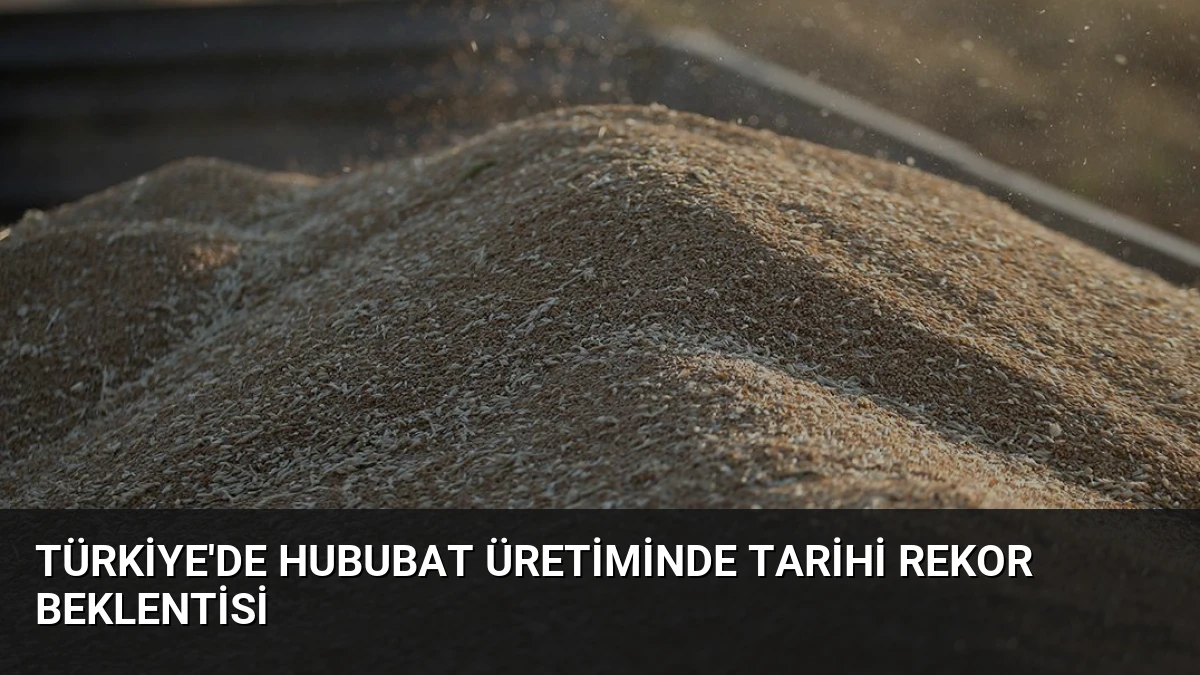 Türkiye’de Hububat Üretiminde Tarihi Rekor Beklentisi