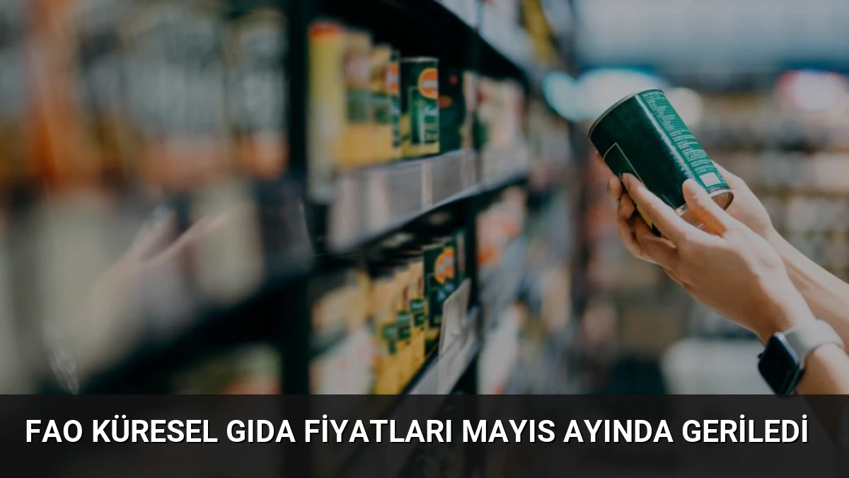 FAO Küresel Gıda Fiyatları Mayıs Ayında Geriledi
