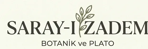 DOĞAYI BALKONUNUZA TAŞIYIN: DIŞ MEKAN BİTKİLERİ