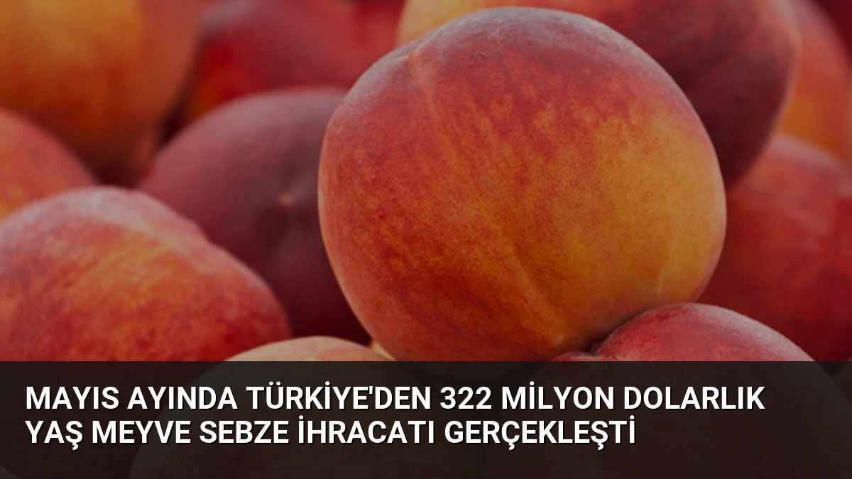 Mayıs Ayında Türkiye’den 322 Milyon Dolarlık Yaş Meyve Sebze İhracatı Gerçekleşti