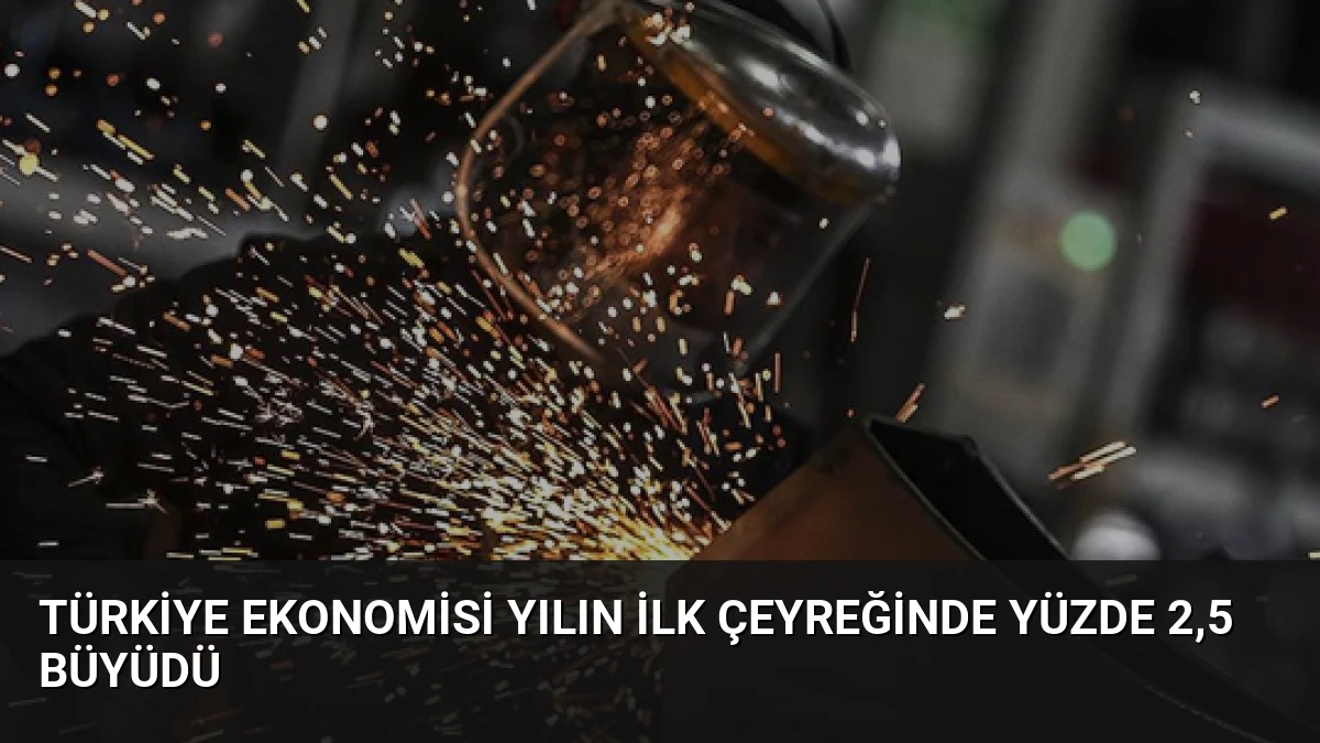 Türkiye Ekonomisi Yılın İlk Çeyreğinde Yüzde 2,5 Büyüdü
