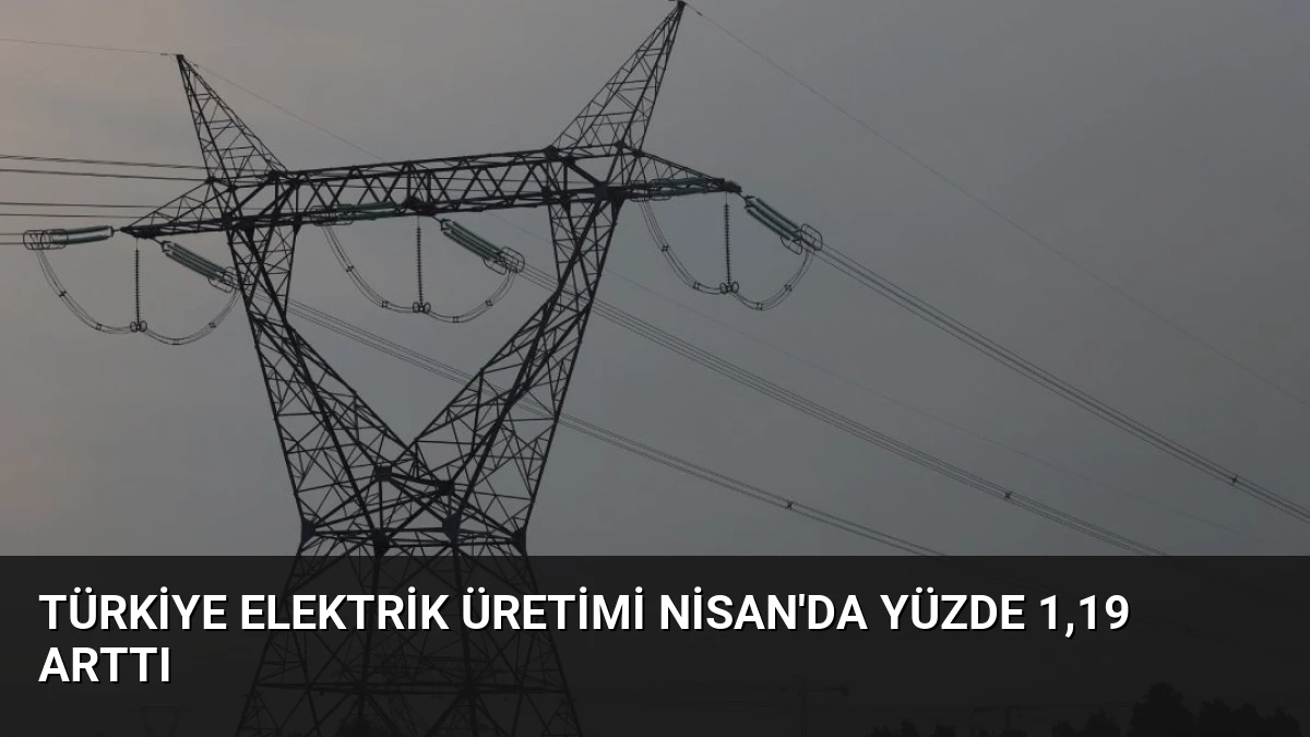 Türkiye Elektrik Üretimi Nisan’da Yüzde 1,19 Arttı